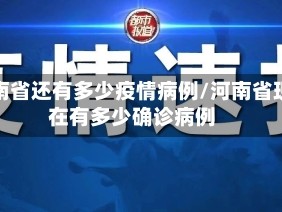 河南省还有多少疫情病例/河南省现在有多少确诊病例