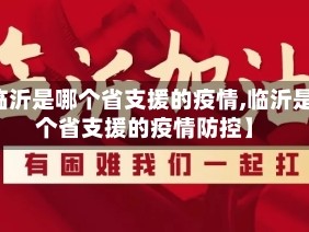 【临沂是哪个省支援的疫情,临沂是哪个省支援的疫情防控】