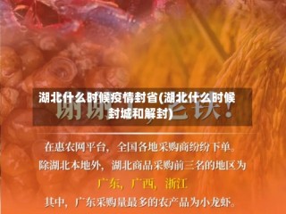 湖北什么时候疫情封省(湖北什么时候封城和解封)
