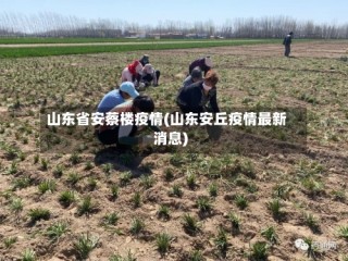 山东省安蔡楼疫情(山东安丘疫情最新消息)