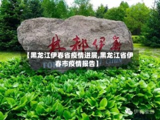 【黑龙江伊春省疫情进展,黑龙江省伊春市疫情报告】