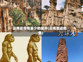 云南省疫情最少的城市(云南哪边疫情)