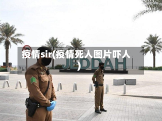 疫情sir(疫情死人图片吓人)