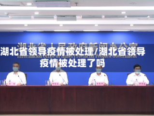 湖北省领导疫情被处理/湖北省领导疫情被处理了吗
