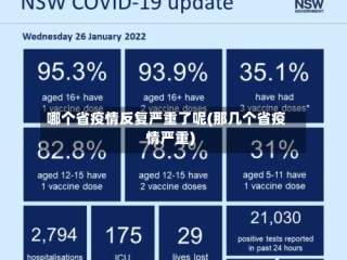 哪个省疫情反复严重了呢(那几个省疫情严重)