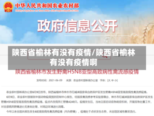 陕西省榆林有没有疫情/陕西省榆林有没有疫情啊