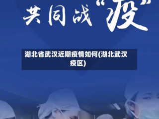 湖北省武汉近期疫情如何(湖北武汉疫区)
