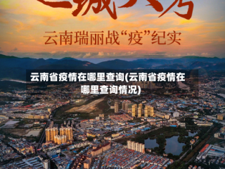 云南省疫情在哪里查询(云南省疫情在哪里查询情况)