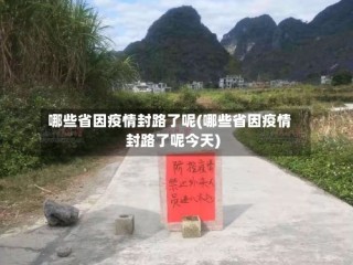 哪些省因疫情封路了呢(哪些省因疫情封路了呢今天)