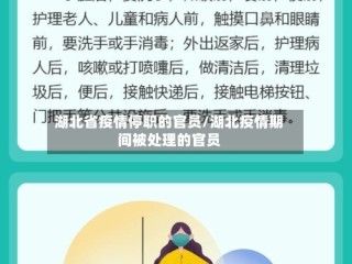 湖北省疫情停职的官员/湖北疫情期间被处理的官员
