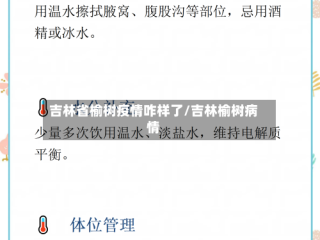 吉林省榆树疫情咋样了/吉林榆树病情