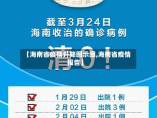 【海南省疫情升降图示图,海南省疫情报告】