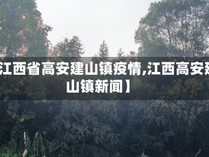 【江西省高安建山镇疫情,江西高安建山镇新闻】
