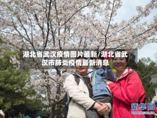 湖北省武汉疫情图片最新/湖北省武汉市肺炎疫情最新消息