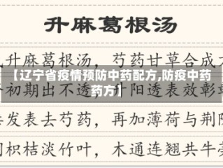 【辽宁省疫情预防中药配方,防疫中药药方】