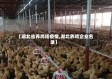 【湖北省养鸡场疫情,湖北养鸡企业名录】