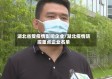 湖北省受疫情影响企业/湖北疫情防控重点企业名单
