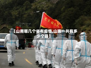 【山南哪几个省有疫情,山南一共有多少个县】