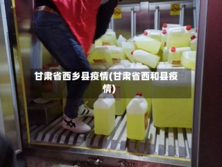 甘肃省西乡县疫情(甘肃省西和县疫情)