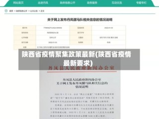 陕西省疫情聚集政策最新(陕西省疫情最新要求)