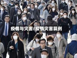 疫情与灾害/疫情灾害算例