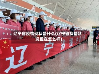 辽宁省疫情现状是什么(辽宁省疫情状况现在怎么样)