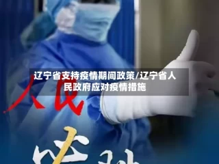 辽宁省支持疫情期间政策/辽宁省人民政府应对疫情措施