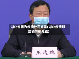 湖北省因为疫情处罚官员(湖北疫情那些领导被处置)