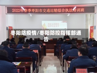 枣阳防疫情/枣阳防控指挥部通告