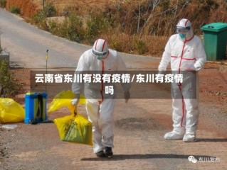 云南省东川有没有疫情/东川有疫情吗