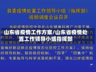 山东省疫情工作方案/山东省疫情处置工作领导小组指挥部