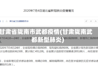 甘肃省陇南市武都疫情(甘肃陇南武都新型肺炎)
