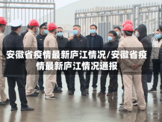 安徽省疫情最新庐江情况/安徽省疫情最新庐江情况通报