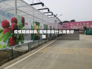疫情期间畅销/疫情期间什么销售好做