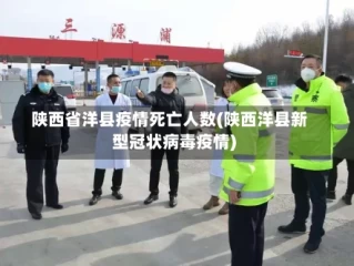 陕西省洋县疫情死亡人数(陕西洋县新型冠状病毒疫情)