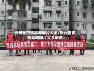 贵州省疫情高峰图片大全/贵州省疫情高峰图片大全最新