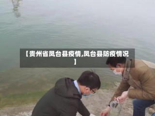 【贵州省凤台县疫情,凤台县防疫情况】