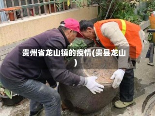 贵州省龙山镇的疫情(贵县龙山)