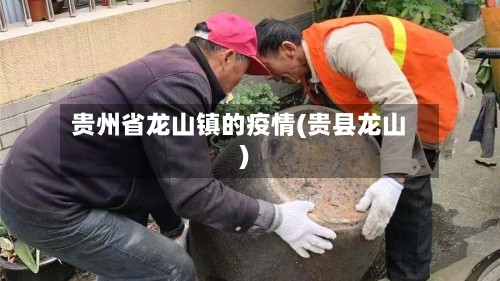 贵州省龙山镇的疫情(贵县龙山)