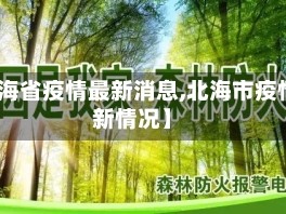 【北海省疫情最新消息,北海市疫情最新情况】