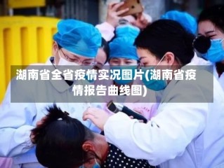湖南省全省疫情实况图片(湖南省疫情报告曲线图)