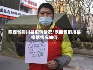 陕西省铜川县疫情情况/陕西省铜川县疫情情况如何