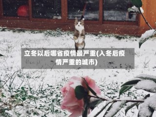 立冬以后哪省疫情最严重(入冬后疫情严重的城市)