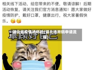 湖北省疫情场所码(湖北场所码申请流程)