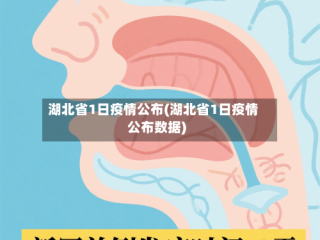湖北省1日疫情公布(湖北省1日疫情公布数据)