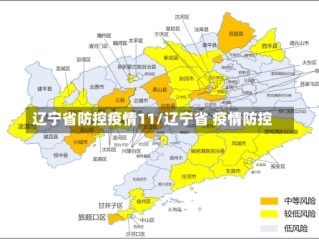 辽宁省防控疫情11/辽宁省 疫情防控