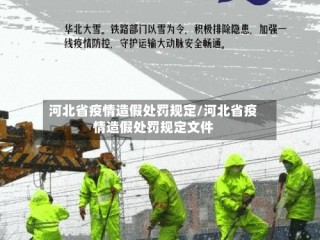 河北省疫情造假处罚规定/河北省疫情造假处罚规定文件