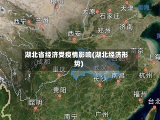 湖北省经济受疫情影响(湖北经济形势)