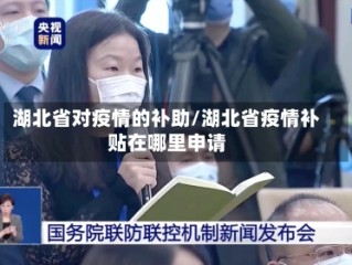 湖北省对疫情的补助/湖北省疫情补贴在哪里申请