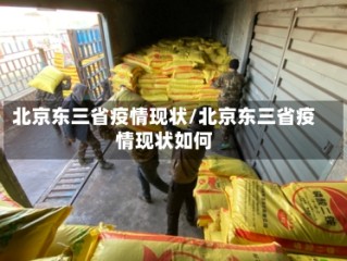 北京东三省疫情现状/北京东三省疫情现状如何